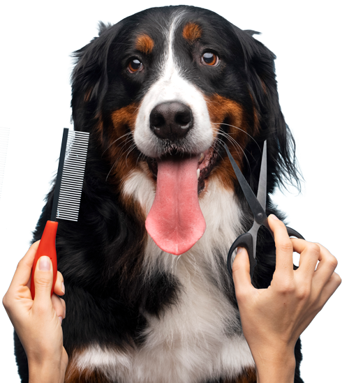 Peluquería