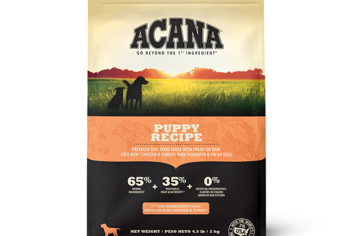 Puppy 2 Kg. Perro