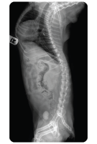 Imagenologia