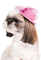 Peluquería